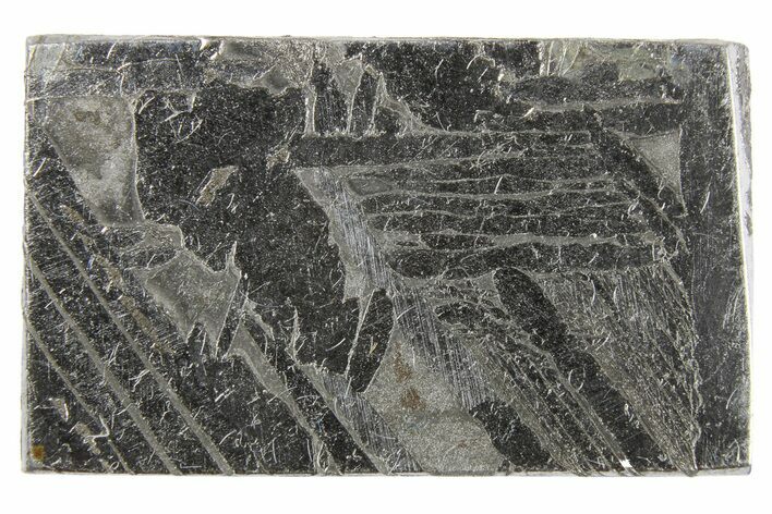 Aletai Iron Meteorite Slice ( g) - Xinjiang, China #263161